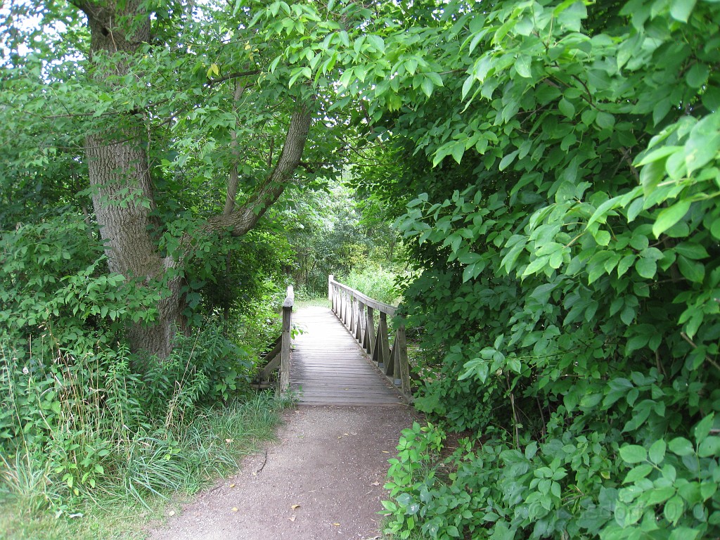 Matthaei Botanical Gardens 2010 0460.jpg - Another of the many bridges.